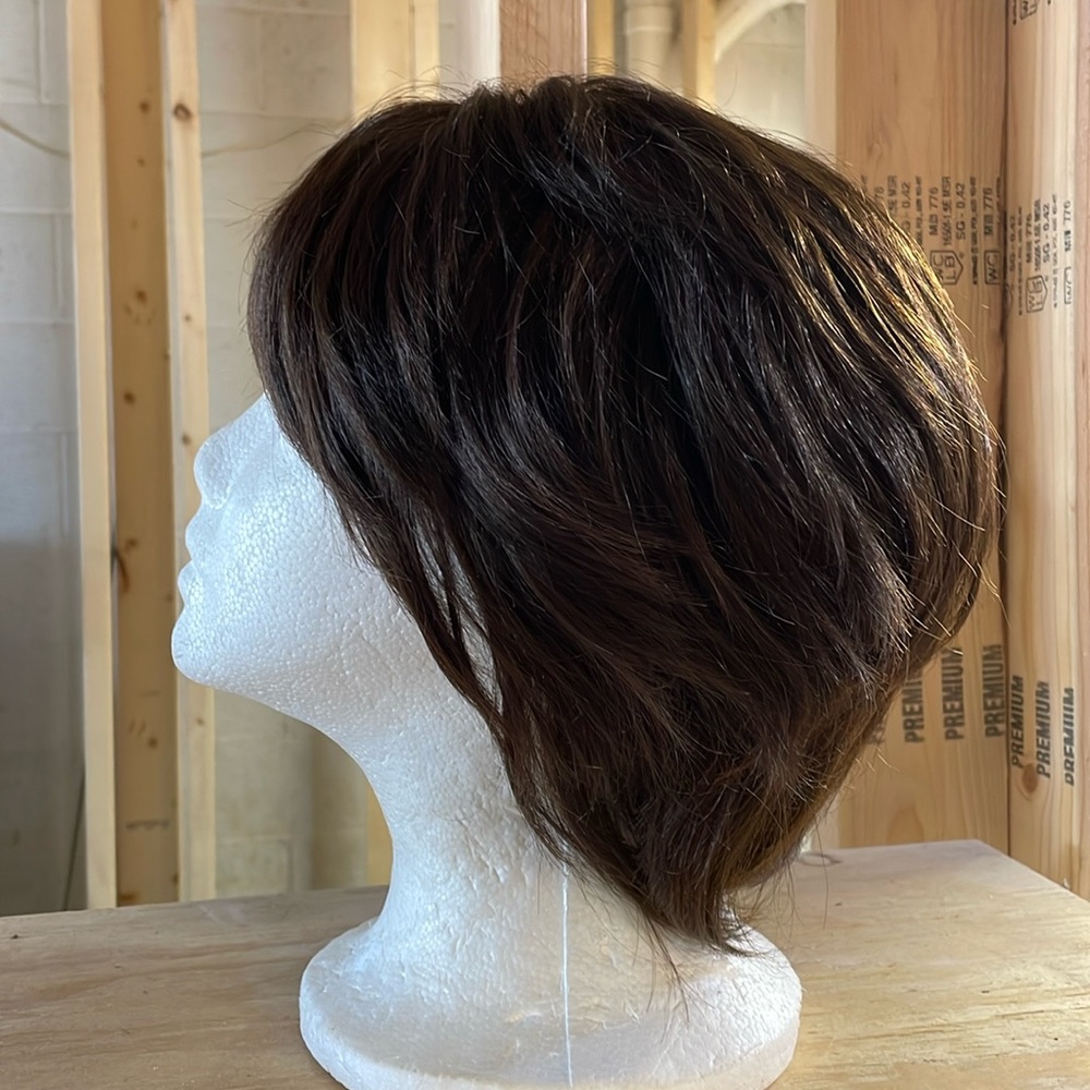 NWT 9/8” short brown wig very subtle golden lights layered shaped waved bangs DP